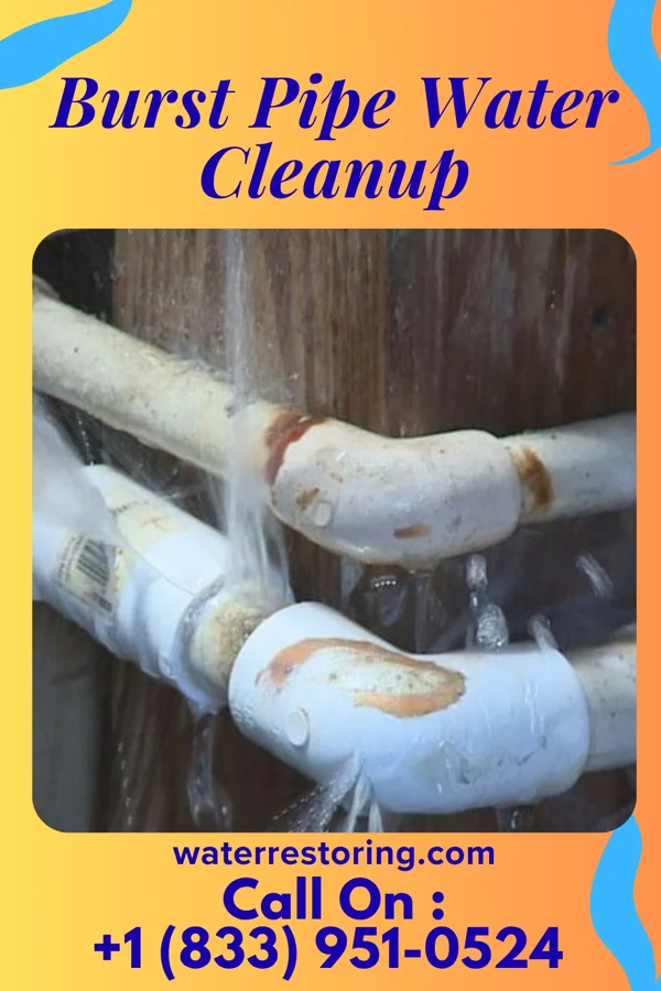 Burst Pipe Water Cleanup in Bryn Mawr-Skyway, WA
