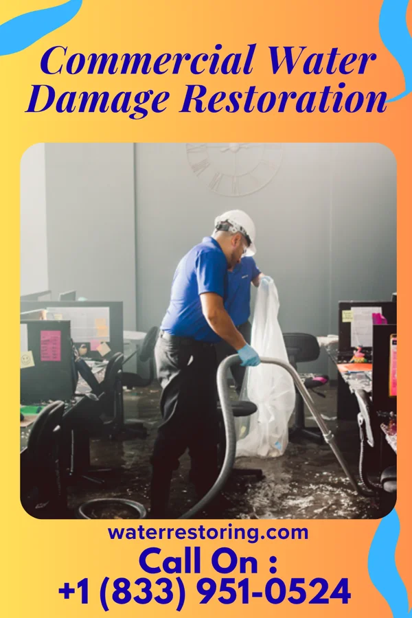 Commercial Water Damage Restoration in Bryn Mawr-Skyway, WA